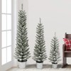 Potted Flocked Pencil Trees in 3ft, 4ft & 5ft Sizes,