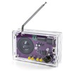 Radio with 2inch Speaker and Acrylic Case, DIY FM Radio