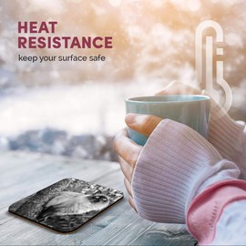 Great Single Coaster Square BW - Balinese Cat in Tree Eyes |Glossy Quality Coasters | Tabletop Protection for Any Table Type #36729