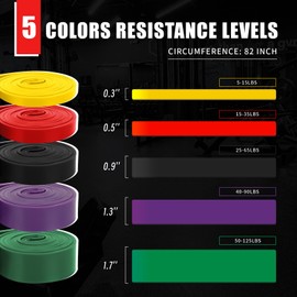 Professional Resistance Bands, Pull Up Assistance Bands Set with Door Anchor, Exercise Workout Bands for Working Out, Body Stretching, Fitness, Physical Therapy, Muscle Training for Men & Women