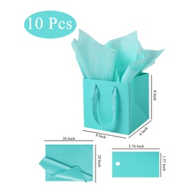 LFCXHTY 10 Pack Teal Blue Square Gift Bags with Tissue Paper Solid Small Size Gift Bags with Handles for Party Favor Bags (8x8x8 In, Teal Blue)