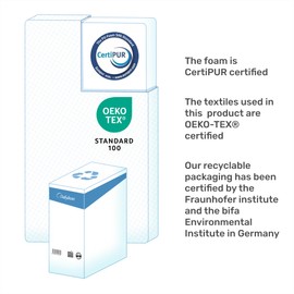 Dailydream viscoelastic Mattress Topper with Memory Foam, Edition Aloe Vera (Full, Model L - 220 up to 264 lbs)