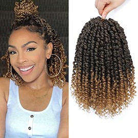 Pre-Twisted Passion Twist Hair, 8 Packs 112 Strands Pre Looped Passion Twist Braiding Hair for Women, Short Passion Twists Crochet Hair Synthetic Hair Extensions (10 Inch (Pack of 8), T27)