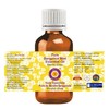 Deve Herbes Pure Bergamot Mint Essential Oil (Mentha citrata) Steam