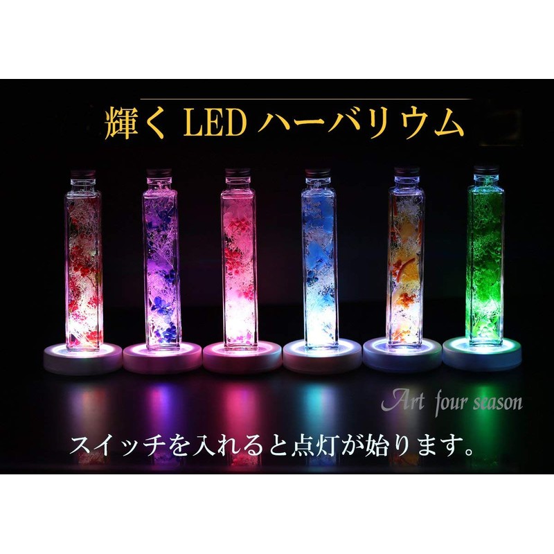 Art Four Seasons ◎ LED Herbarium Preserved Flower (Blue)