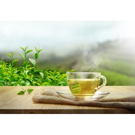 Bigelow Organic Decaffeinated Green Tea, 40 Count (Pack of 6), 240 Total Tea Bags