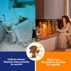 Albert Austin Heat Powered Stove Fan Powerful 4 Blade Design