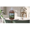 Kleen Free Naturally Preformed Enzyme Cleaner, Enzyme Solution, Multi-Purpose Cleaner,