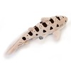 Leopard Shark Cuddly Toy Shark 31 cm Plush Shark Plush