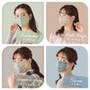 Iris Ohyama APN-60LXN Mask, Non-woven Fabric, Pleated Mask, Color Mask,