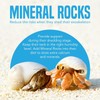 JOR 2 oz Hermit Crab Rocks, Natural Calcium Stones for