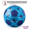 Crocodile Creek - Shark City Glitter Soccer Ball - Kids