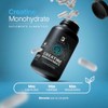 B Life Creatina Monohidratada Micronizada. 240 Cápsulas. Alta Pureza Sin