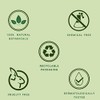 Biotique Green Apple Fresh Daily Purifying Shampoo and Conditioner for