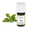 Sage Essential Oil (Organic)