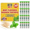 HotLix Mint Toothpicks (20 Pack, 400 Total), Mint Flavored Toothpicks,