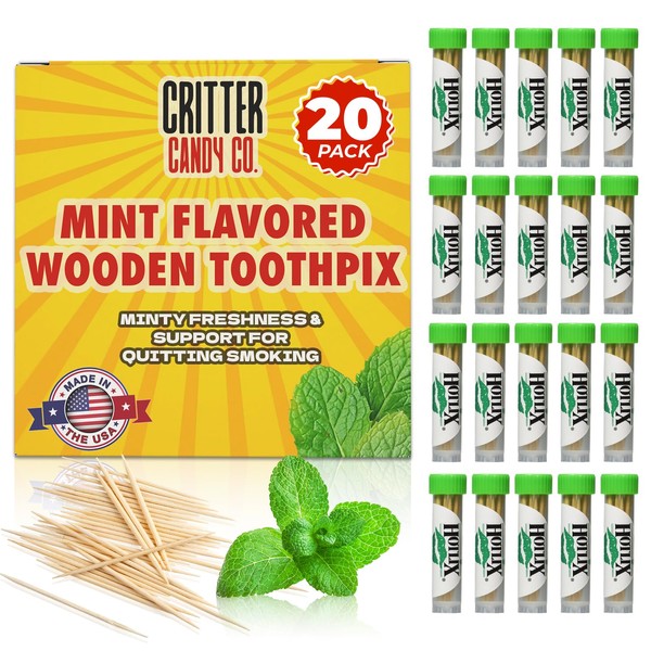 HotLix Mint Toothpicks (20 Pack, 400 Total), Mint Flavored Toothpicks,