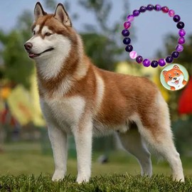 SODLYUE Dog Mom Gifts for Women, Amethyst Dog Mom Bracelets, Dog Gifts for Dog Lovers with Message Card for Birthday Christmas Valentines Day Mothers Day,Husky, Stone, no gemstone