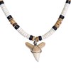 BlueRica Shark Tooth on Puka & Tiger Brown Coconut Shell