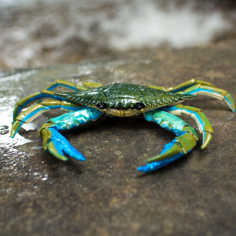 Safari Ltd. Blue Crab Figurine - Realistic 7" Model Figure