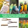 KIPTVO 4PCS Natural Wood Bird Perch, Budgie Perches, Parrot Perch,