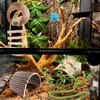 RUNANIA Crested Gecko Tank Accessories，Reptile Vines Plants with Coconut Shell