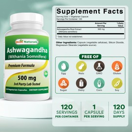 Best Naturals Best Naturals Ashwagandha Extract 500 Mg 120 Capsules (Pack of 2)