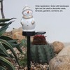 Solar Powered Yard Lights Lovely Shape Perfect Decoration Strong Practicality