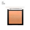 Face Makeup Blush Powder Gradation Blusher Longlasting Cosmetic Cheek Powder#5