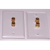 2-Pack Speaker Wire Wall Plate (Speaker Wall Plate, Banana Plug
