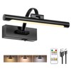 Tassuowell Battery Powered Picture Light with Remote and Timer,Full Metal