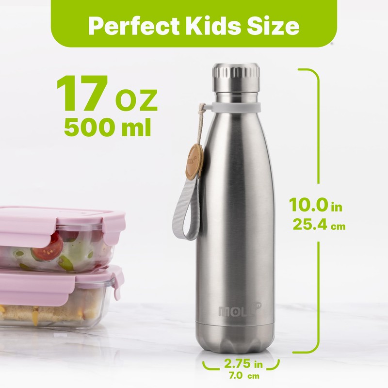 Mollcity 17 oz Stainless Steel Water Bottle-Insulated Water Bottle-Sports Water
