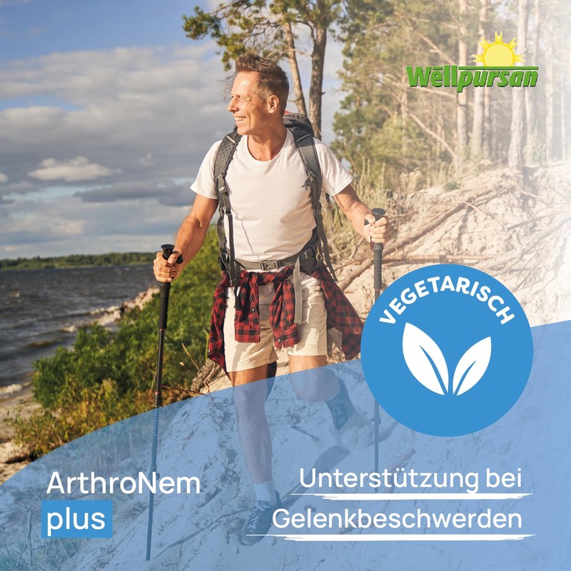 Wellpursan ArthroNem Plus - 2 x 90 Joint Capsules to