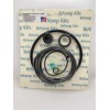 Liberty FLOPRO For Swimming Pool Pump Replacement By Liberty Seals