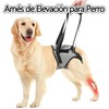 WEZCHUGHAOL Arnés de Elevación para Perro, Rear Support Harness, Arneses