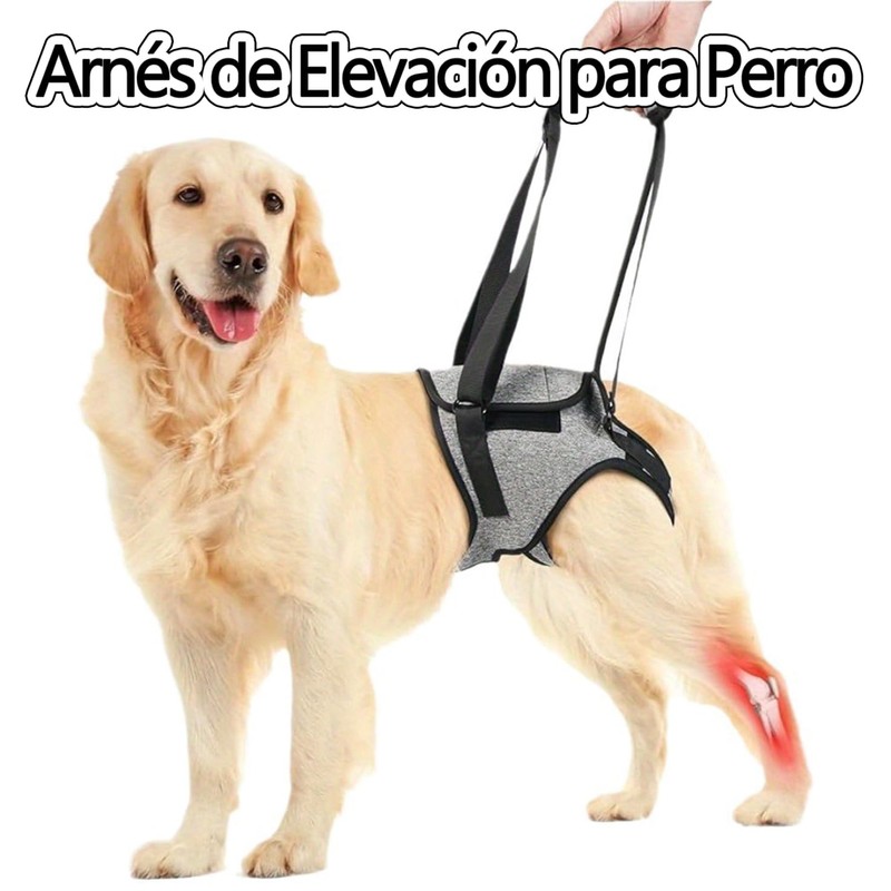 WEZCHUGHAOL Arnés de Elevación para Perro, Rear Support Harness, Arneses