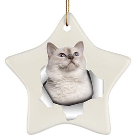 Funny Birman Cat White Coming Out of Cracked Wall Gifts 2024 Christmas Tree Ornaments Ceramic Star