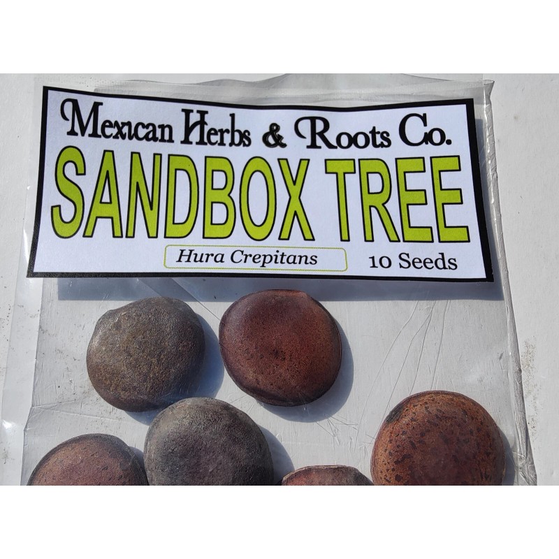 Mexicanherbs sandbox tree 10 seeds (Hura crepitans, possumwood, jabillo )