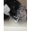 Build-A-Bear Workshop *BANDANA ONLY* Emo Axolotl Build A Bear Neck