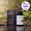 Earthville Black Ginger Krachay Dam Fabiflora Black Ginger 500mg Effectiveness
