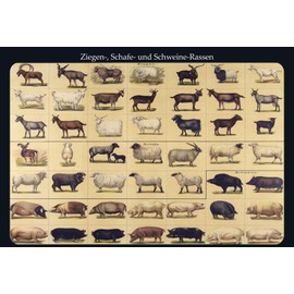 Schatzmix Tin-Plate Sign, Sheet metal, Multicoloured, 20x30 cm