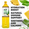 Nature's Goodness Aloe Vera Drink with Pulp Pineapple Flavor -12