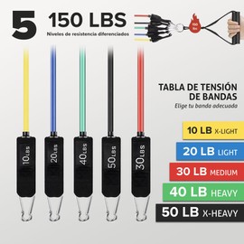 VITALIZUM Elastische Fitnessbänder 150 Pfund, 12 Stück, elastische Fitnessbänder mit 5 verschiedenen Widerstandsstufen, für Training an jedem Ort, Yoga, Calisthenics, Crossfit, TRX, Pilates, Sport