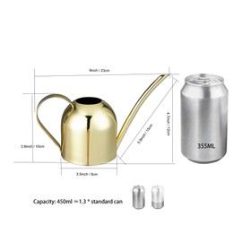 IMEEA Gold Watering Can House Watering Can for Indoor Plants Orchid Bonsai Desk Office Stainless Steel Watering Can with Long Spout, 15oz/450ml