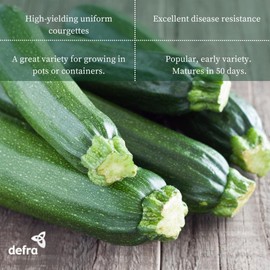 Premier Seeds Direct PREMIER SEEDS DIRECT - COURGETTE - Ambassador F1-25 Finest Seeds