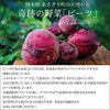 熊本県産　ビーツの水煮 800g(200g×4袋)【農薬不使用】【化学肥料不使用】