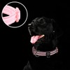 azuza Reflective Dog Collar, Soft Chloroprene Rubber Filled Pet Collar