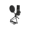 Delock USB Microphone PC Microphone Condenser Microphone Set - for