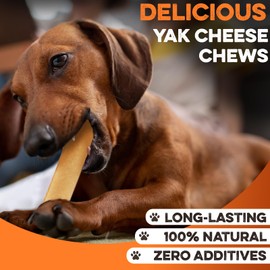 BRUTUS & BARNABY Yak Cheese Himalayan Dog Chews for Aggressive Chewers – Rich in Nutrients, Long Lasting Yak Chews for Small to Large Dogs.(12pk)