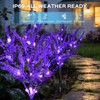 TANSOREN 2 Pack Solar Garden Lights Outdoor, 8 Lighting Modes